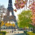 Évasion Haut de Gamme : Découvrez la Location de Van de Luxe à Paris